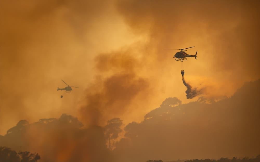 Wildfires in Los Angeles Underscore a Critical Need for Resilience Investment